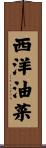 西洋油菜 Scroll