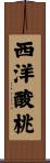 西洋酸桃 Scroll