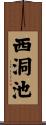 西洞池 Scroll