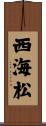 西海松 Scroll
