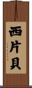 西片貝 Scroll