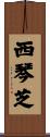 西琴芝 Scroll