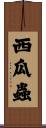 西瓜蟲 Scroll