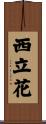 西立花 Scroll