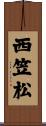 西笠松 Scroll