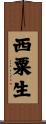 西粟生 Scroll