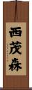 西茂森 Scroll
