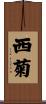 西菊 Scroll