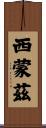 Simmonds Scroll