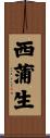 西蒲生 Scroll