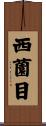 西薗目 Scroll