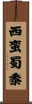 西蛮蜀黍 Scroll