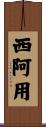 西阿用 Scroll