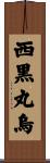 西黒丸烏 Scroll
