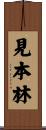 見本林 Scroll