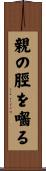 親の脛を囓る Scroll