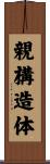 親構造体 Scroll