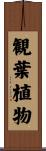 観葉植物 Scroll