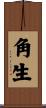 角生 Scroll
