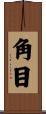 角目 Scroll