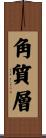 角質層 Scroll