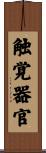 触覚器官 Scroll