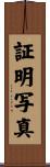 証明写真 Scroll