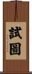 試圖 Scroll