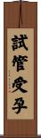 試管受孕 Scroll