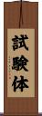 試験体 Scroll