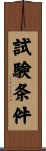 試験条件 Scroll