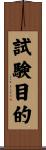 試験目的 Scroll