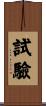 試驗 Scroll