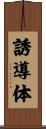 誘導体 Scroll