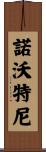 Novotny Scroll