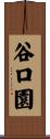 谷口園 Scroll