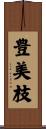 豊美枝 Scroll