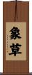 象草 Scroll