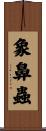 象鼻蟲 Scroll