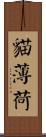 貓薄荷 Scroll