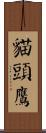 貓頭鷹 Scroll