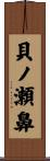 貝ノ瀬鼻 Scroll