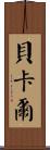 Bekar Scroll