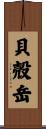 貝殻岳 Scroll