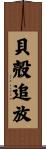 貝殻追放 Scroll
