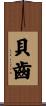 貝齒 Scroll
