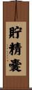 貯精嚢 Scroll