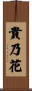 貴乃花 Scroll