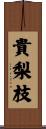 貴梨枝 Scroll