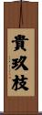 貴玖枝 Scroll